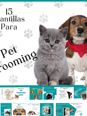 Portada Pet Grooming